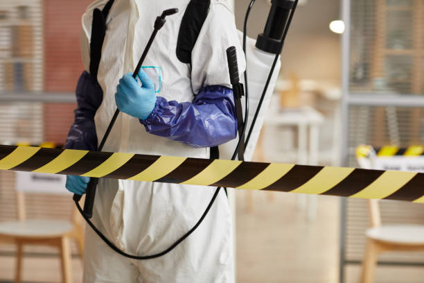 Professional Sewage Cleanup technician working in Sandy Spring, MD